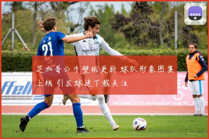 芝加哥公牛壁纸更新 球队形象图集上线 引发球迷下载关注