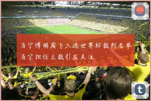 马宁傅明周飞入选世界杯裁判名单马宁担任主裁引发关注