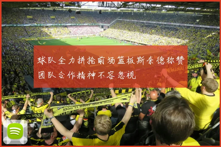 球队全力拼抢前场篮板斯奈德称赞团队合作精神不容忽视